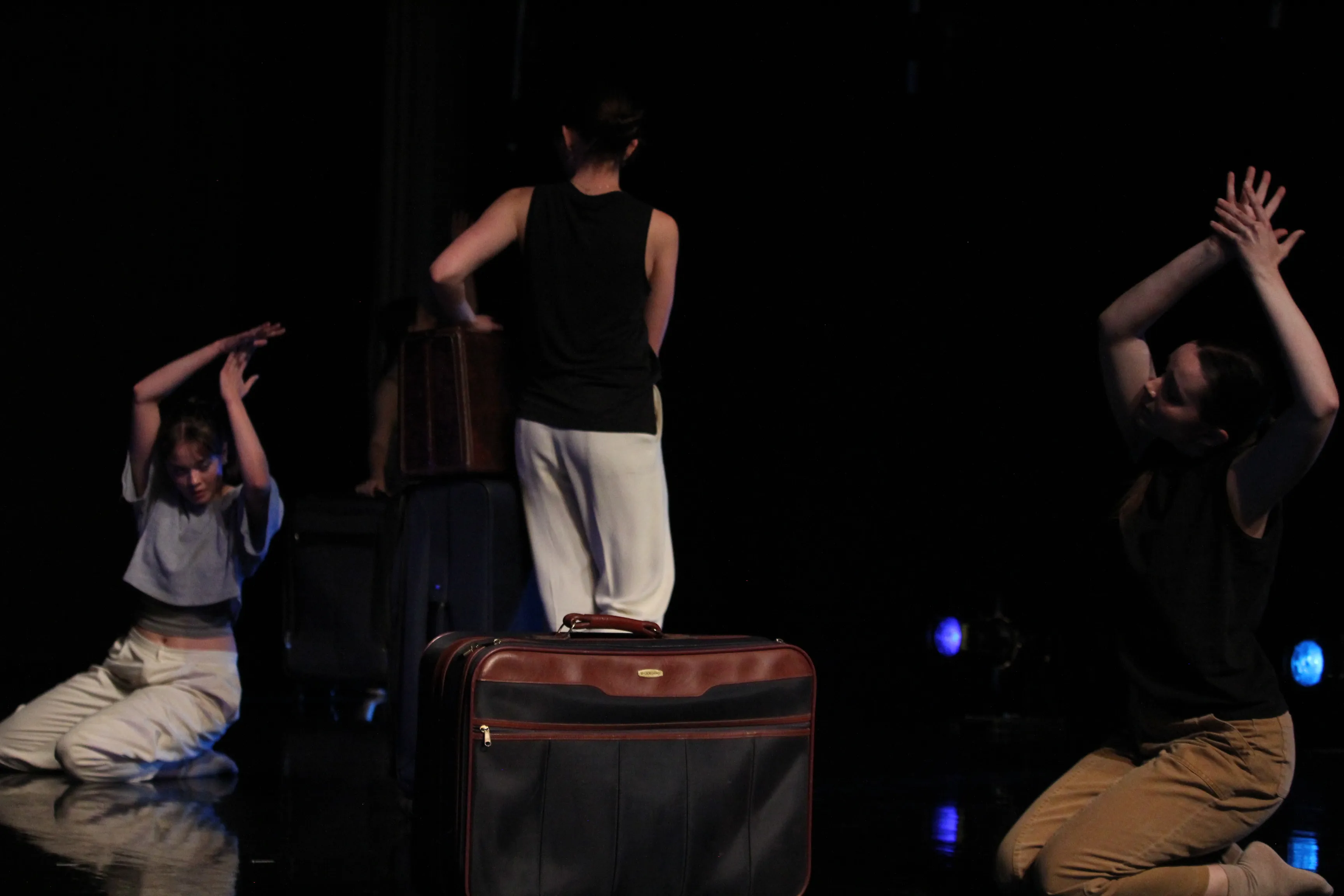 Fly — 5